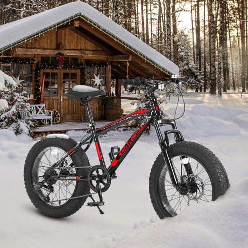 20 Inch Wheels Mountain Bike,4" Wide Fat Tire Snow Bike for Women and Men ,7 Speed Bicycles, Red